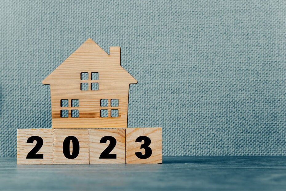 maison miniature bois annee 2023