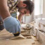 Diagnostic termites Paris : obligations et risques