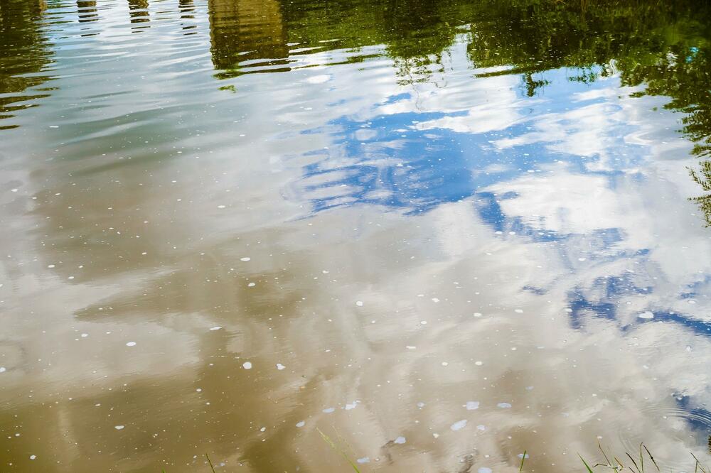 Pollution & ERP Champigny-sur-Marne : guide complet