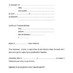 Attestation d’hébergement 2026 : modèle gratuit et conseils